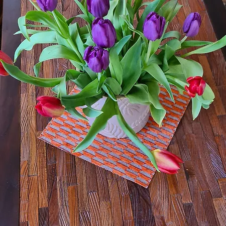 Отель Logis L'etoile